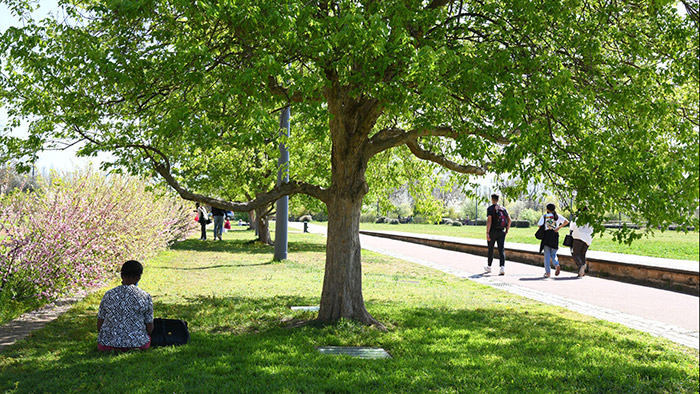 Parc de gerland