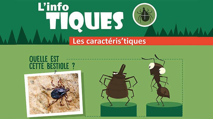 Campagne de prévention tiques et maladies à tiques