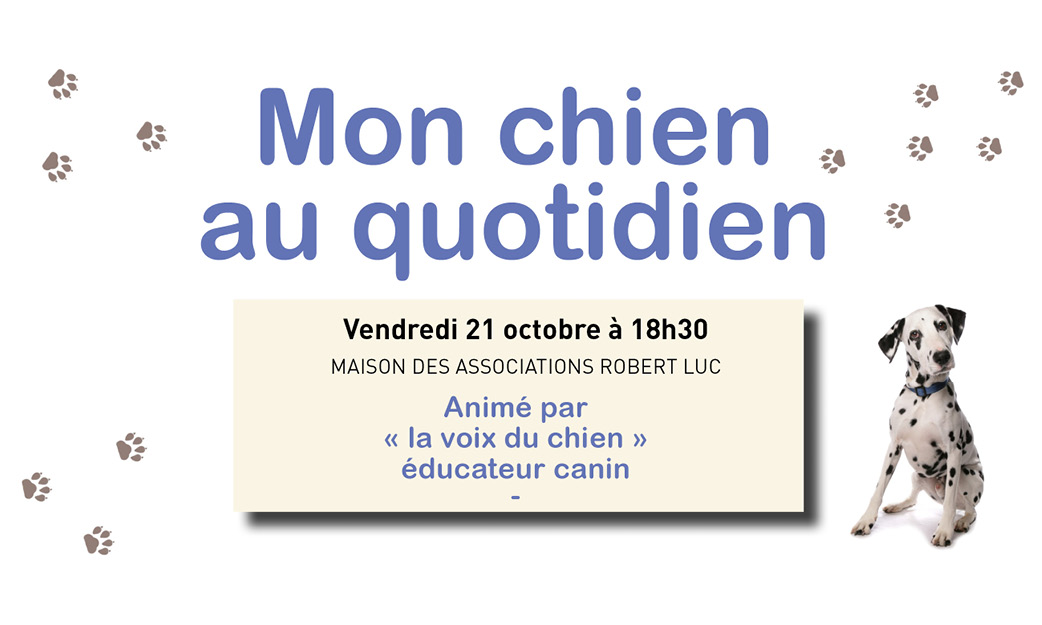 mon chien au quotidien 2022