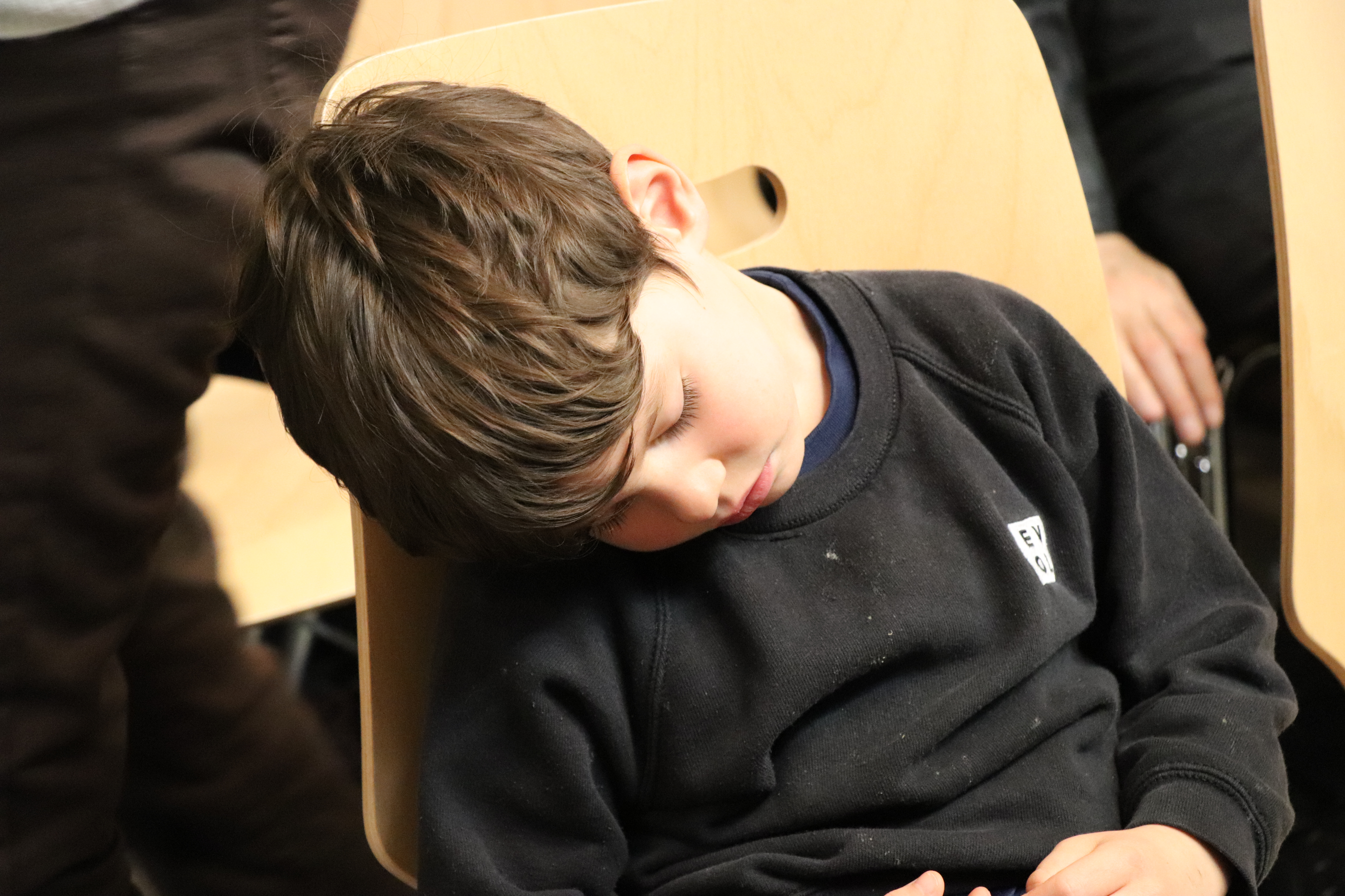 img_5356.jpg_voeux17 - 17 