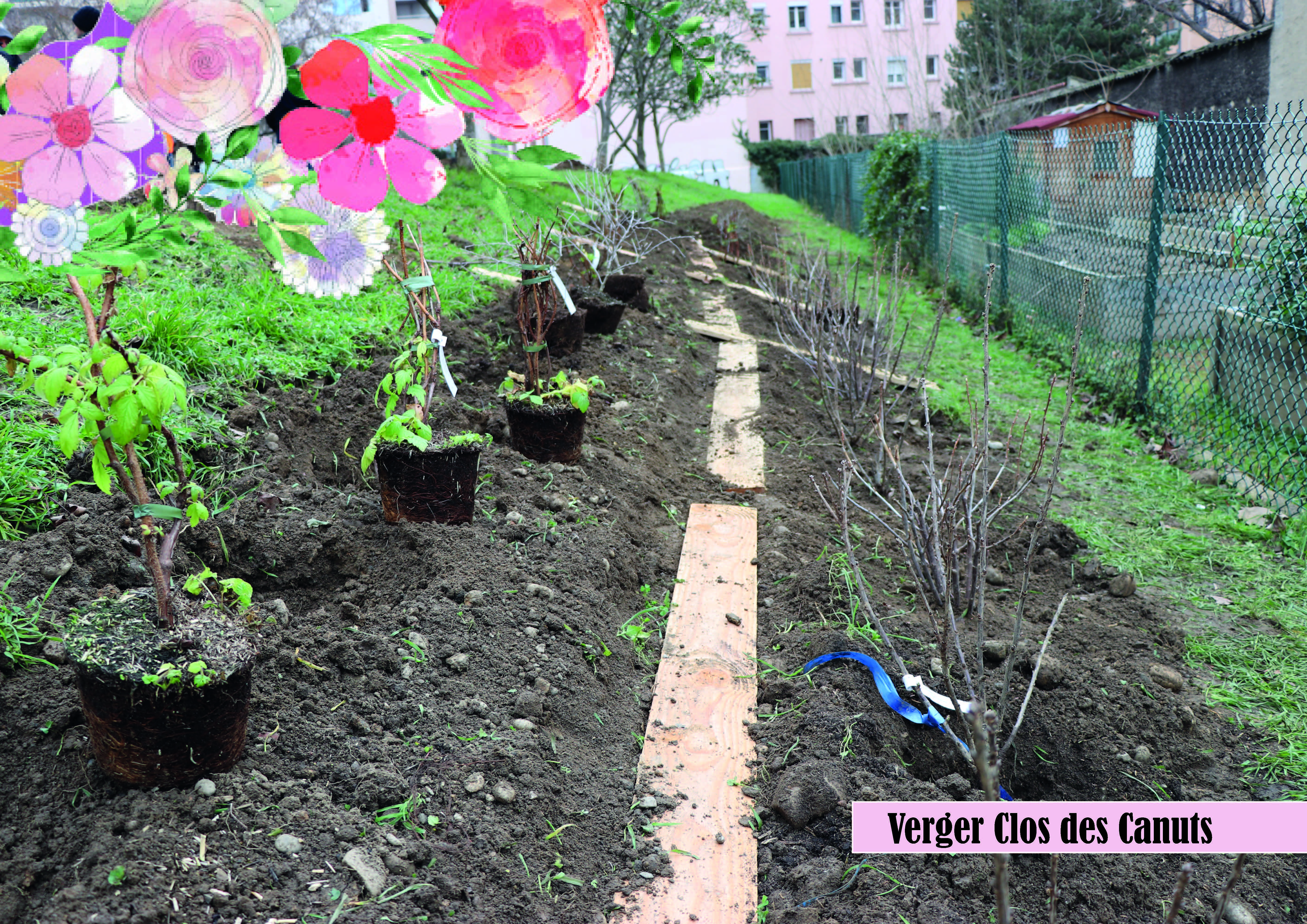 clos_des_canuts.jpg - 1 