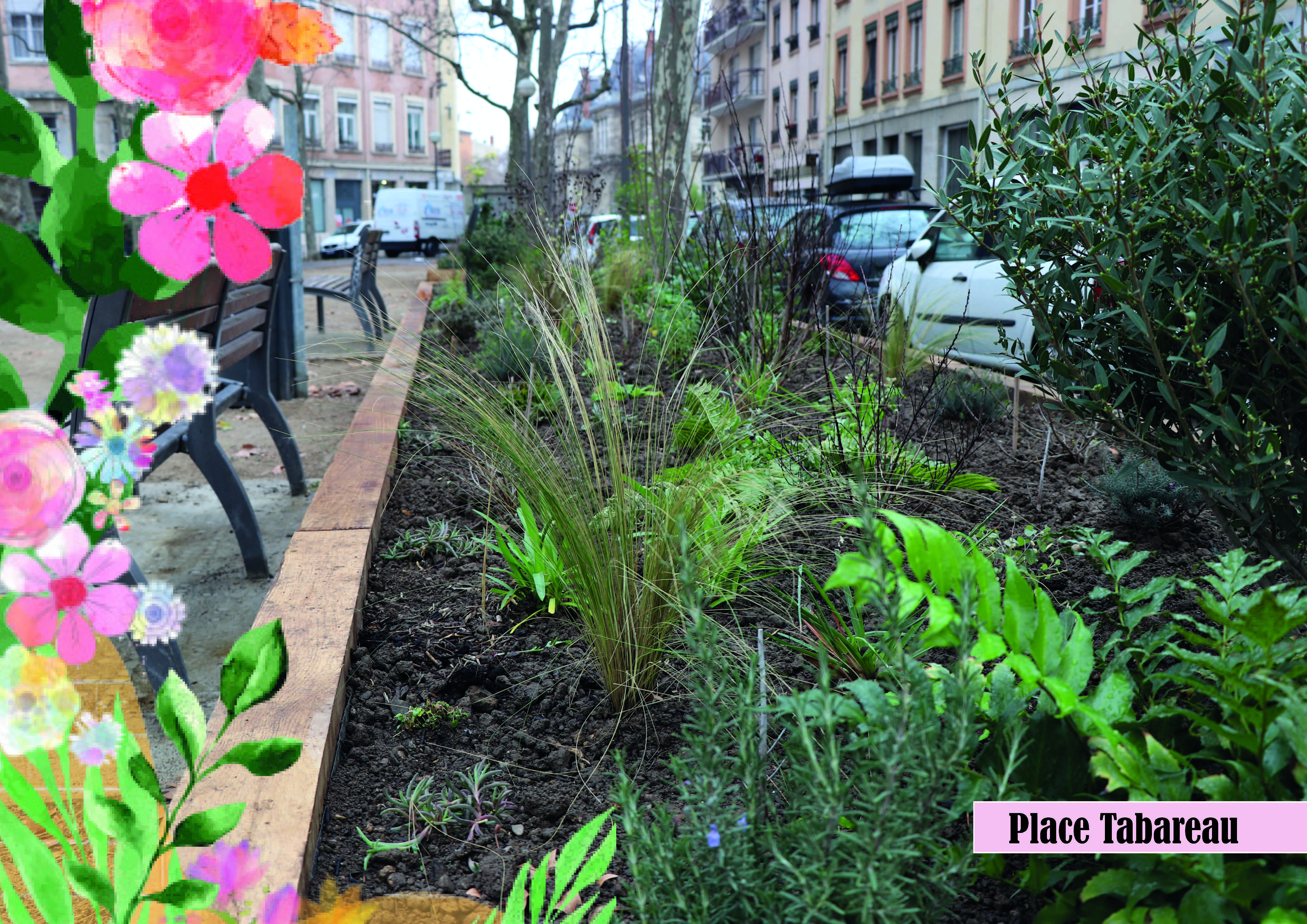 place_tabareau_2.jpg - 6 