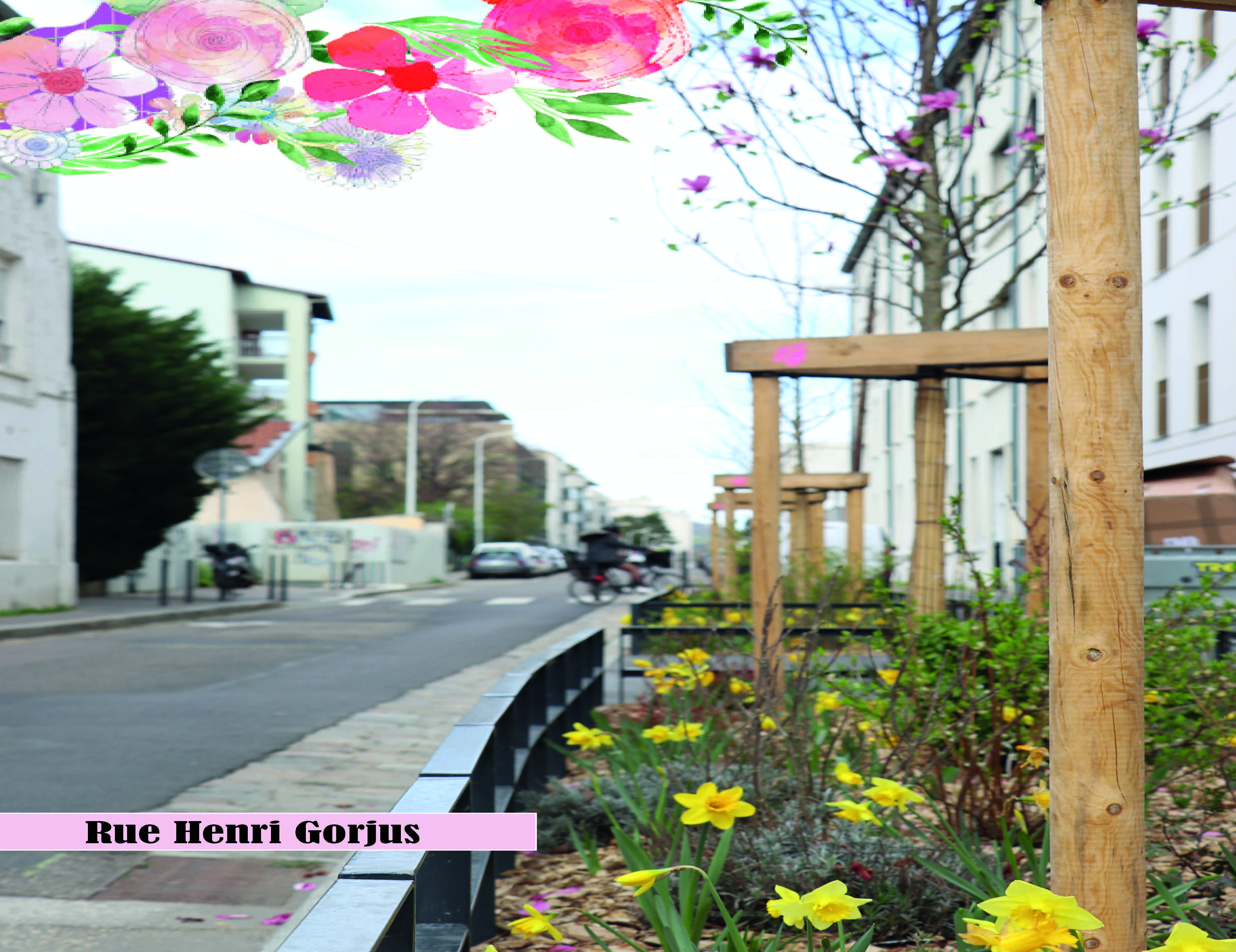 rue_henri_gorjus.jpg - 10 