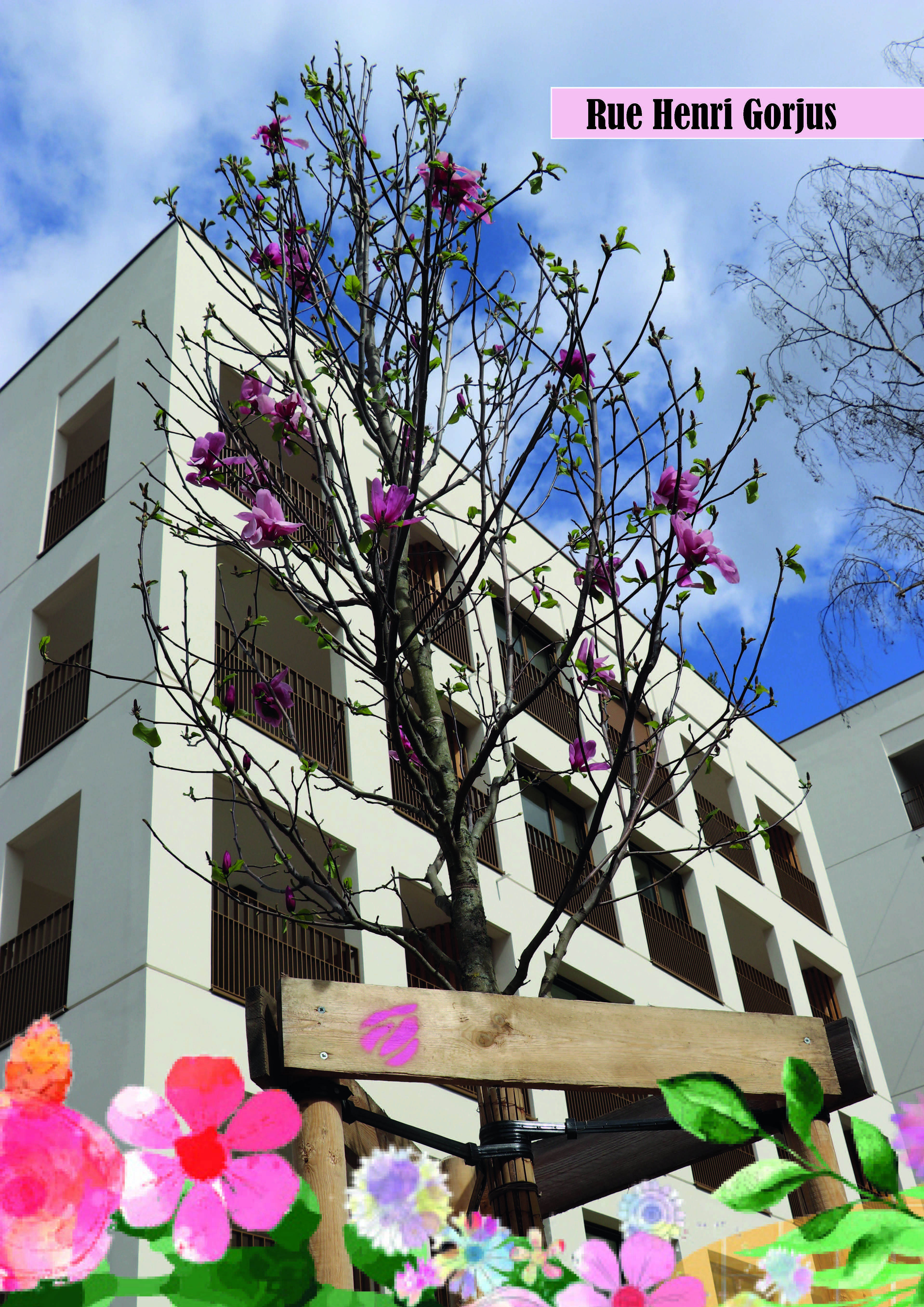 rue_henri_gorjus_2.jpg - 11 