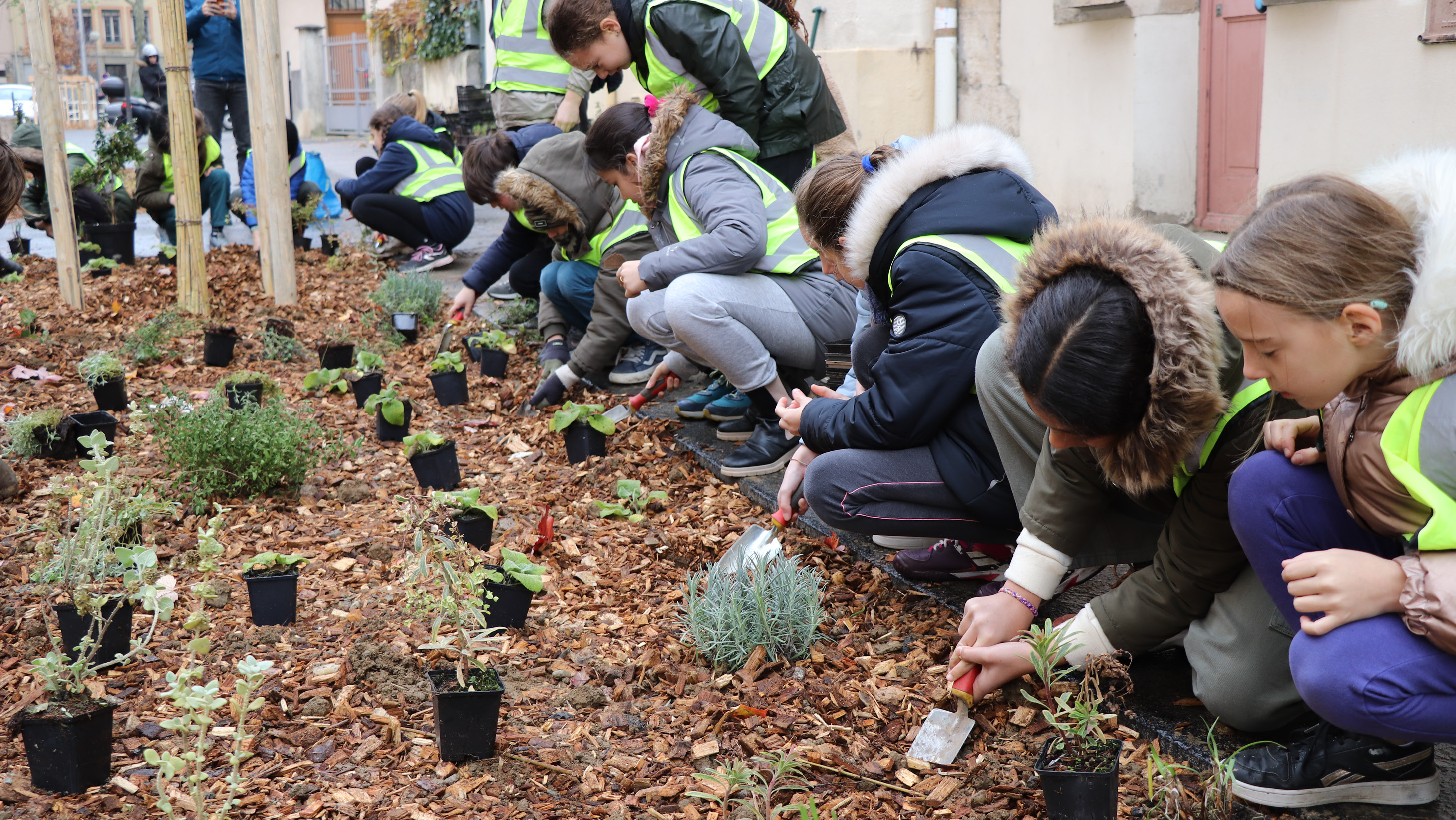 vegetalisation_cornier_27.11.2023_700x394.jpg