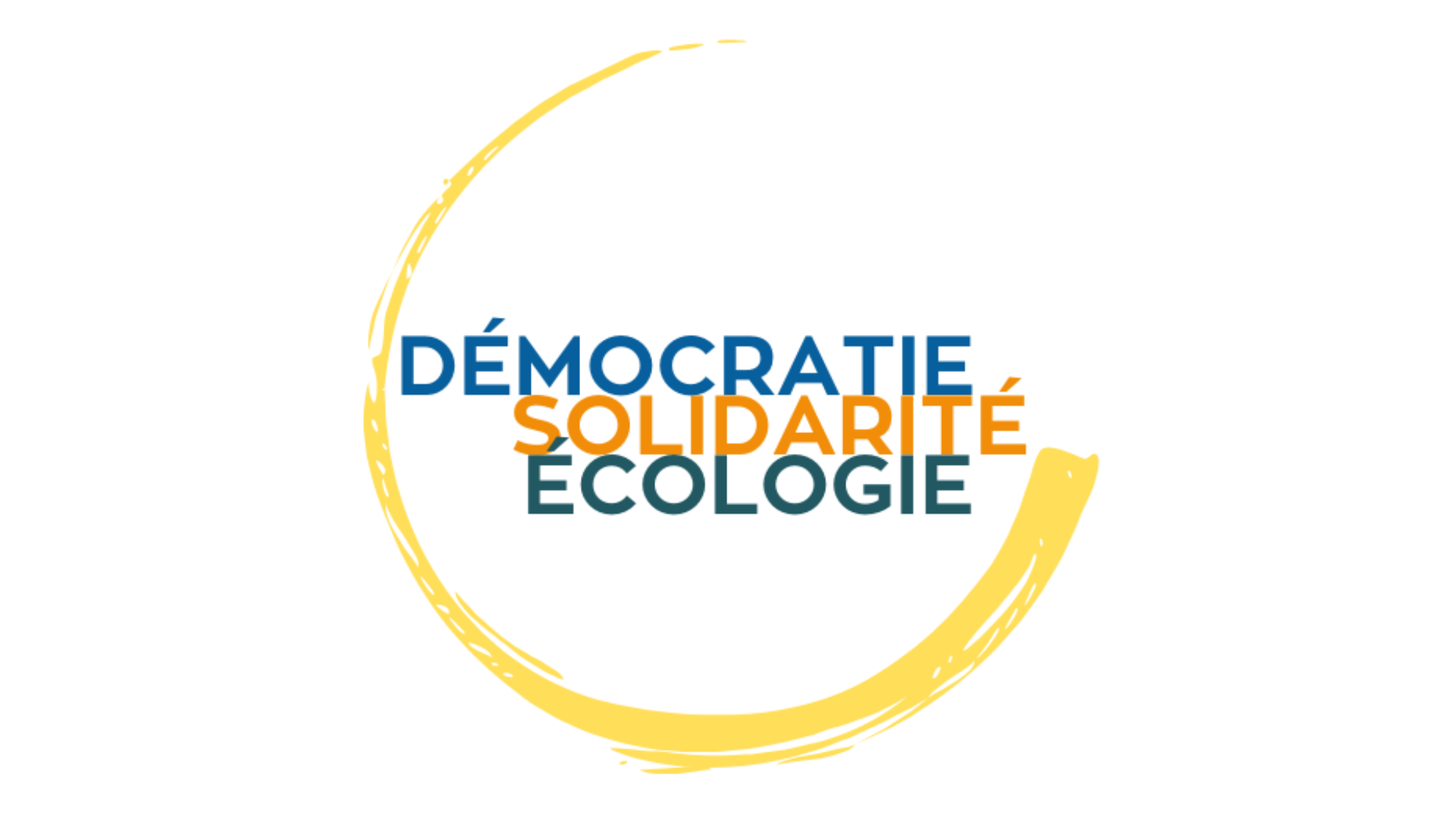logos_groupes_politiques-2-logo_democratie_solidarite_ecologie.png