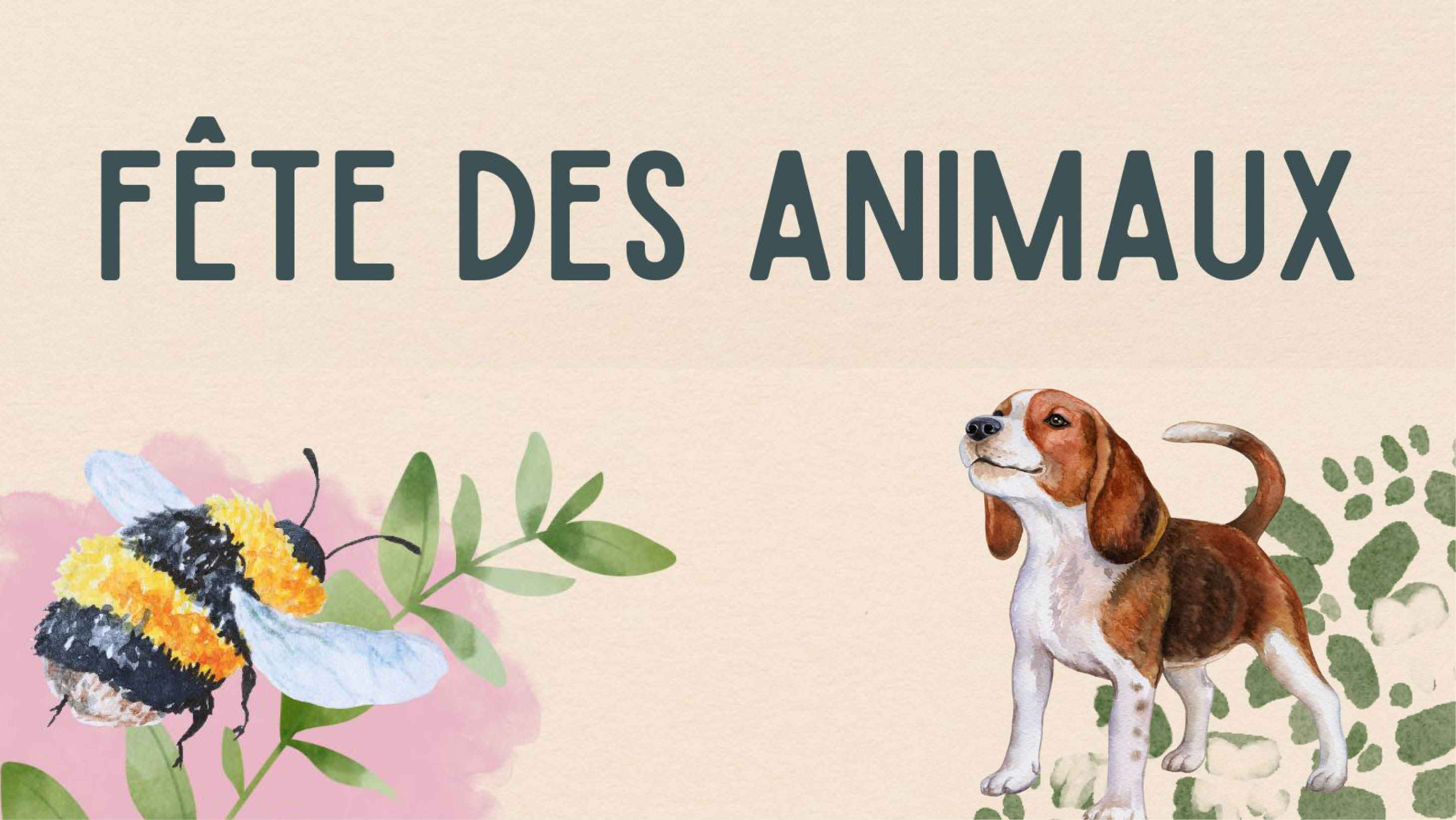 fete_des_animaux_2025_700x394.jpg