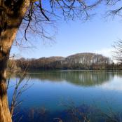 Parc de la Tête d'Or en hiver