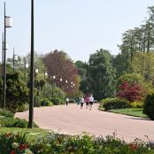 Allée du Parc de la Tête d'Or