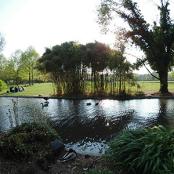 Parc de la Tête d'or au bord de l'eau